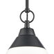 Sven 1 Light 12 inch Matte Black Pendant Ceiling Light