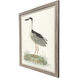 Black Crowned Heron Blue and Green and Multi Framed Art, Propac