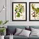 Florals Collection Green Framed Art