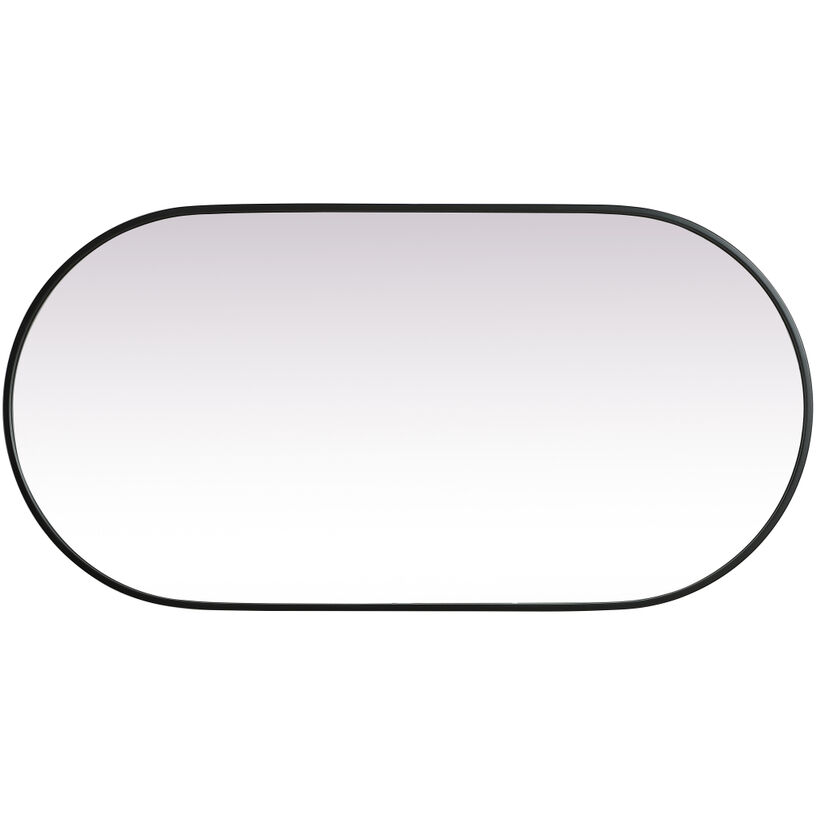 Asha 48 X 24 inch Black Mirror in 24 x 48