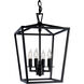Cage 4 Light 12 inch Matte Black Pendant Ceiling Light