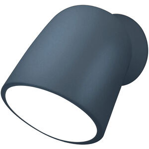 Ambiance Collection 1 Light 7.75 inch Midnight Sky Outdoor Wall Sconce