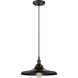 Vintage 1 Light 14 inch Rustic Bronze Pendant Ceiling Light