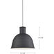 Irving 1 Light 15.75 inch Black Pendant Ceiling Light