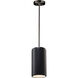 Radiance Collection 1 Light 7 inch Carbon Matte Black with Brushed Nickel Pendant Ceiling Light