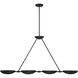Undertas 4 Light 48 inch Iron Ore Island Light Ceiling Light