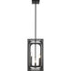 Easton 4 Light 9.25 inch Matte Black Chandelier Ceiling Light