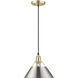 Orwell 1 Light 10 inch Brushed Champagne Bronze Pendant Ceiling Light in Pewter