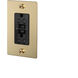 1G Duplex 125 Brass Outlet, GFCI