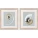 Neutral Nautilus Gray and Beige and Multi and Neutral Framed Art, Propac