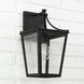 Adair 1 Light 14.25 inch Black Outdoor Wall Lantern