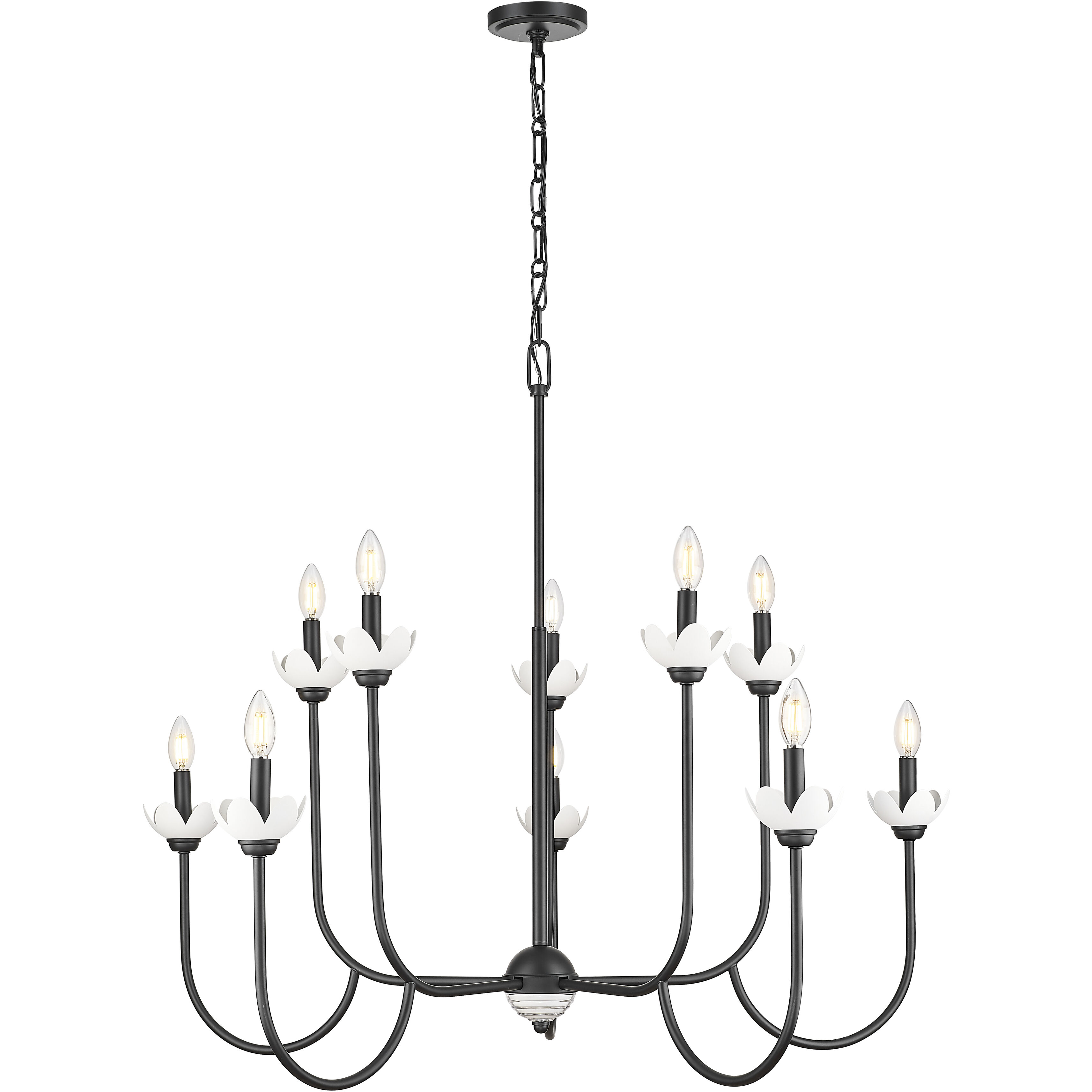 Allistair 10 Light 42 inch Matte Black Chandelier Ceiling Light