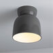 Radiance Collection 1 Light 7.5 inch Gloss Grey Outdoor Flush Mount