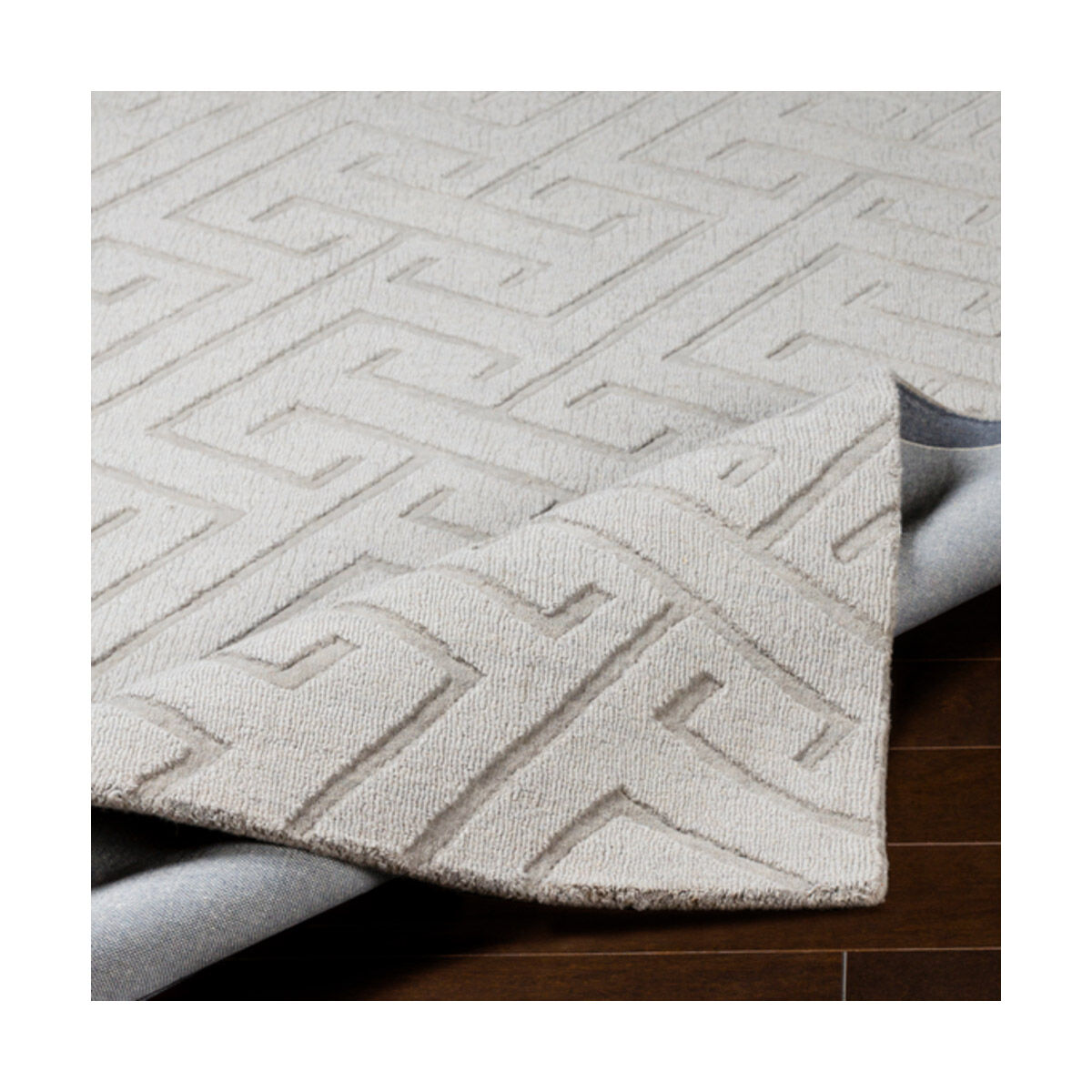 Mystique 63 X 39 inch Light Gray Rugs, Rectangle