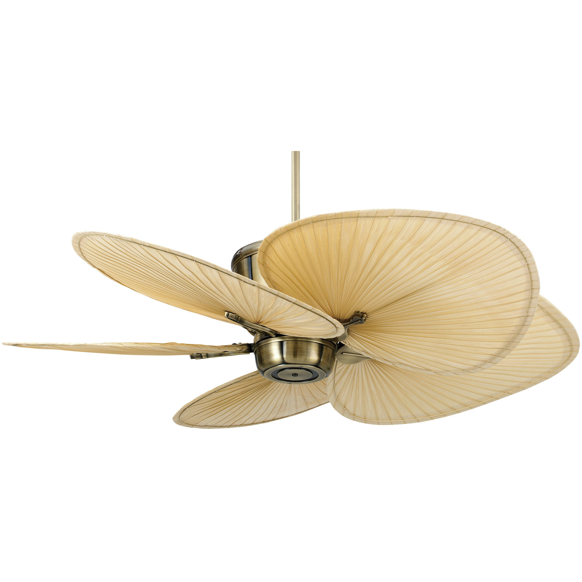 Blades Palm Natural Palm 22 inch Each Fan Blades