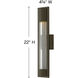 Mist Outdoor Wall Mount Lantern in Bronze, Medium