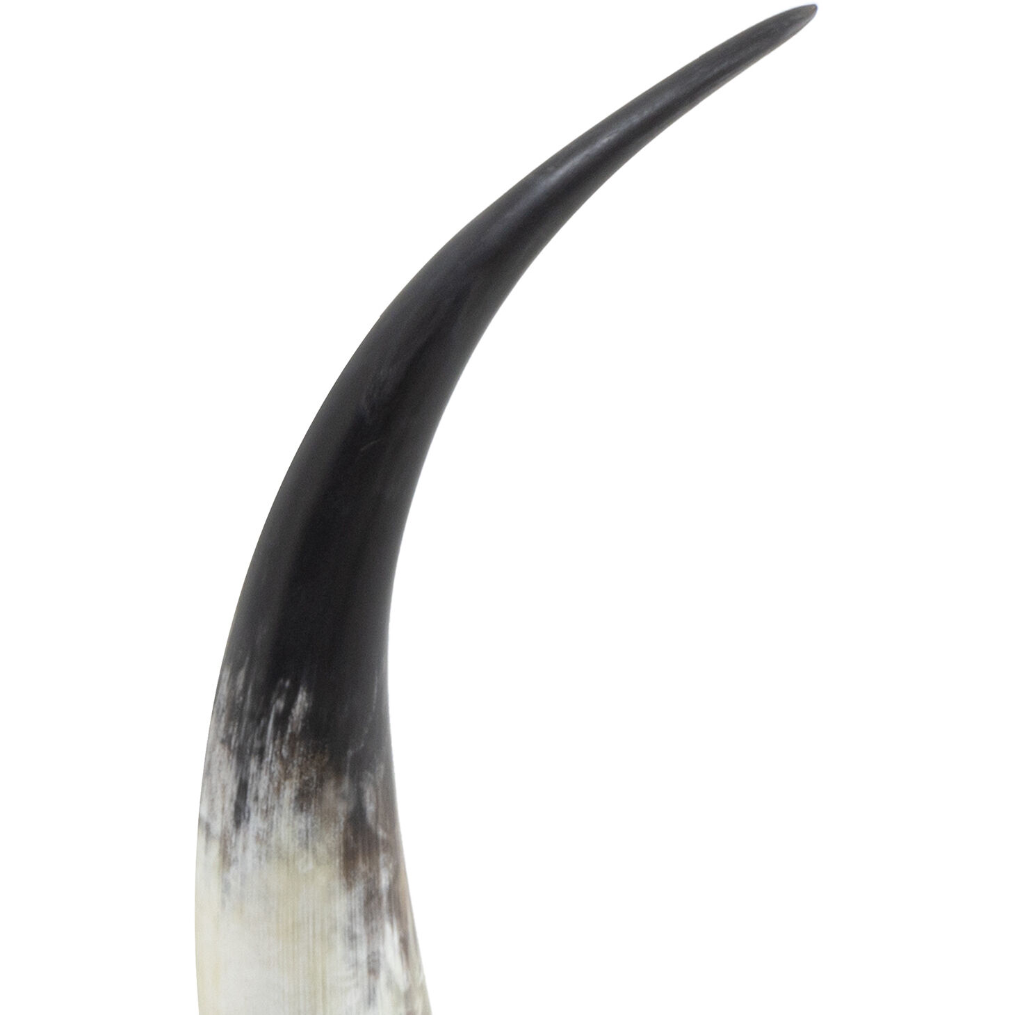 Daylon Natural Objet, Large