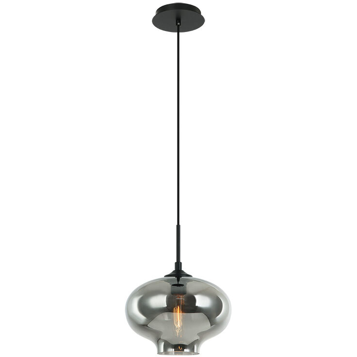 Irresistible Organic Charm 1 Light 11 inch Smoke Pendant Ceiling Light