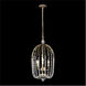 Voliere 3 Light 14.5 inch Havana Gold Pendant Ceiling Light
