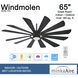 Windmolen 65 inch Textured Coal with Coal Ashwood Blades Outdoor Ceiling Fan