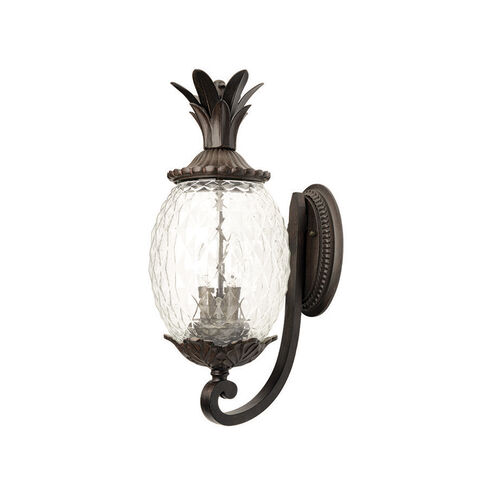 Lanai 3 Light 22 inch Black Coral Exterior Wall Mount