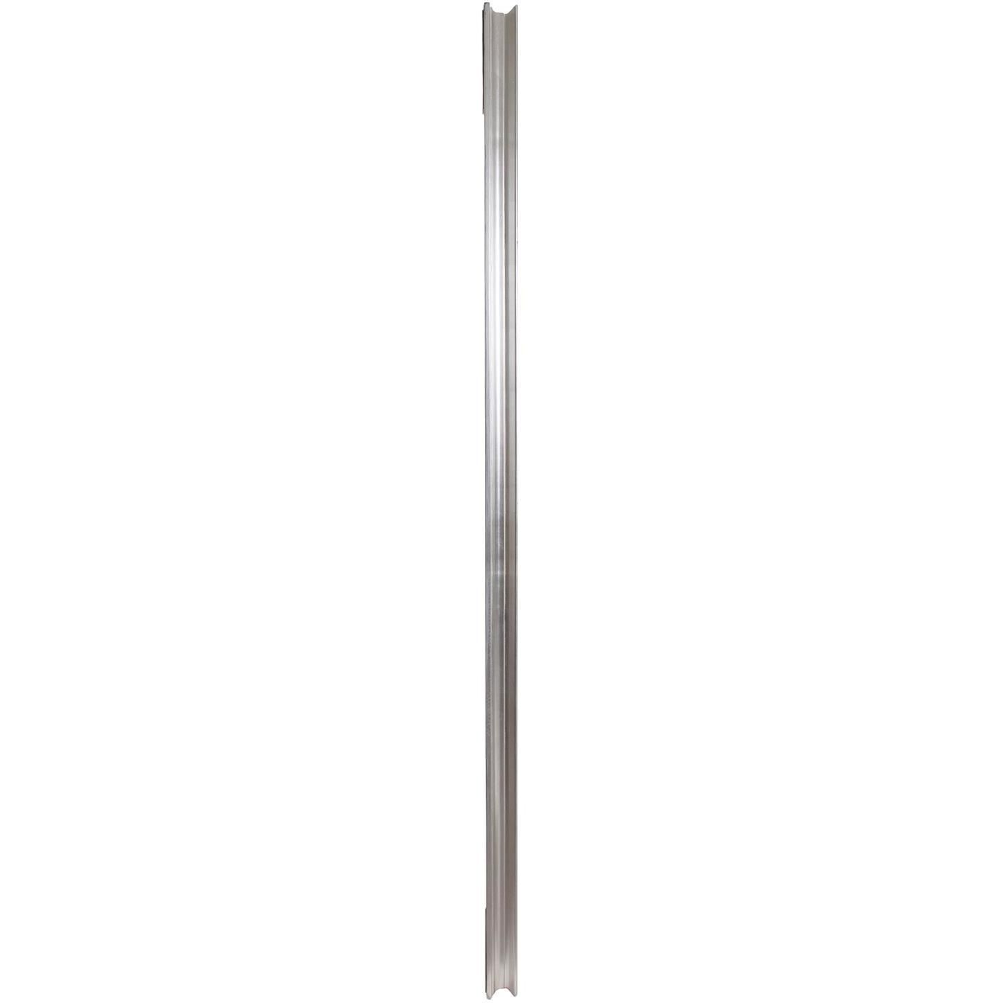 Tierney 86 X 50 inch Bright Silver Mirror