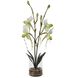 Lady White and Green and Clear Orchid In Glass Vase
