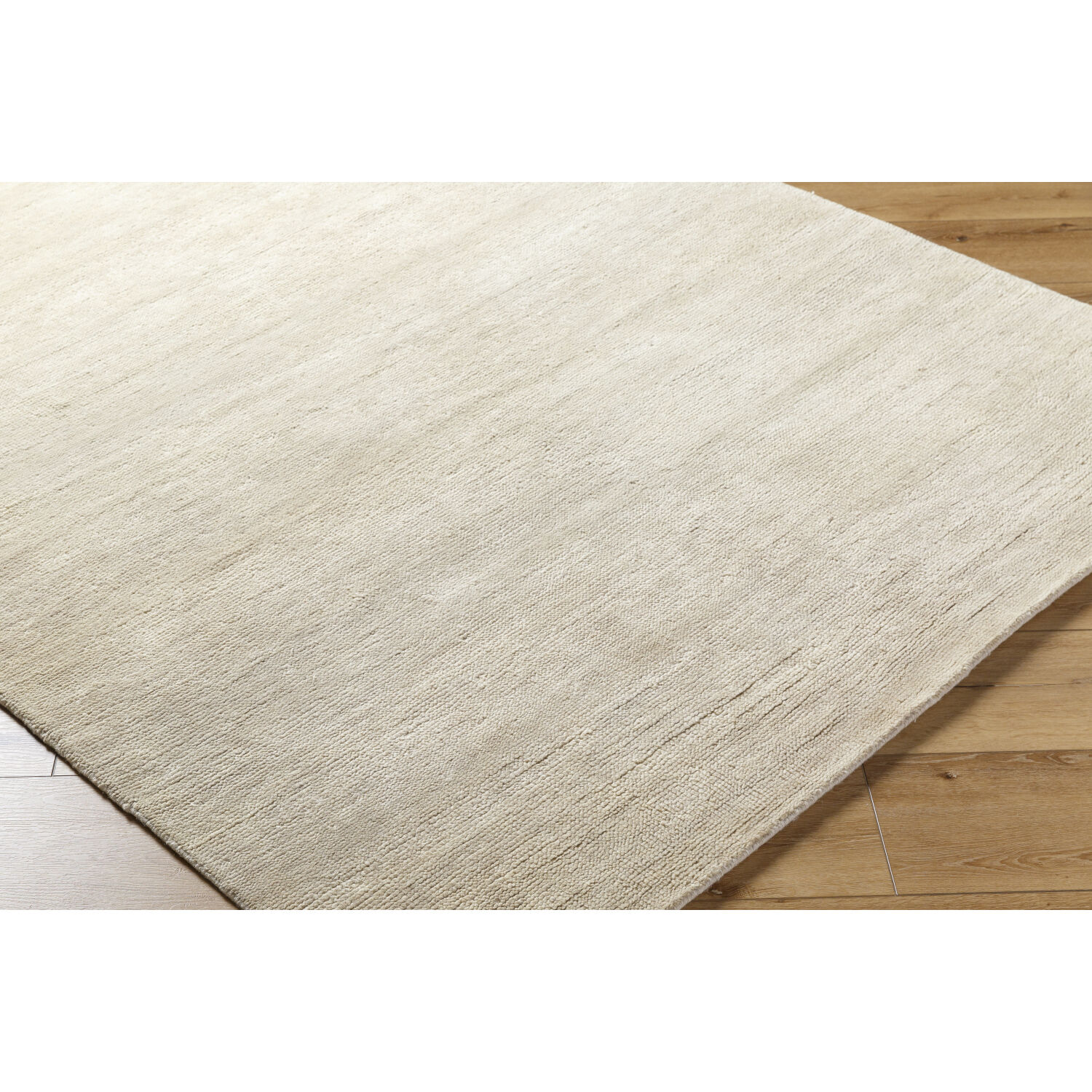 Astana 36 X 24 inch Warm Grey / Ash Handmade Rug in 2 x 3