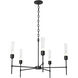 Vela 5 Light 30.3 inch Black Chandelier Ceiling Light in Clear