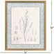Botanical Sketch I Gray and Beige and Neutral and Sepia Framed Art