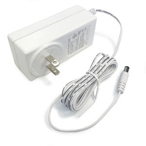 Class II White Direct Plug-In Driver, 12V 24W