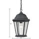 Temple Hill 1 Light 10 inch Matte Textured Black Outdoor Pendant