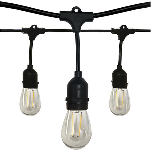 Edgewood 12 Light LED 24 foot Black LED String Light