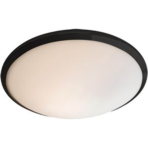 Essex 1 Light 12 inch Graphite And Opal Glass Flushmount Ceiling Light in Half Opal Glass