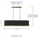 Donovan Island Light Ceiling Light in Black Stain and Matte Brass