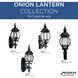 Onion 3 Light 23 inch Textured Black Outdoor Wall Lantern