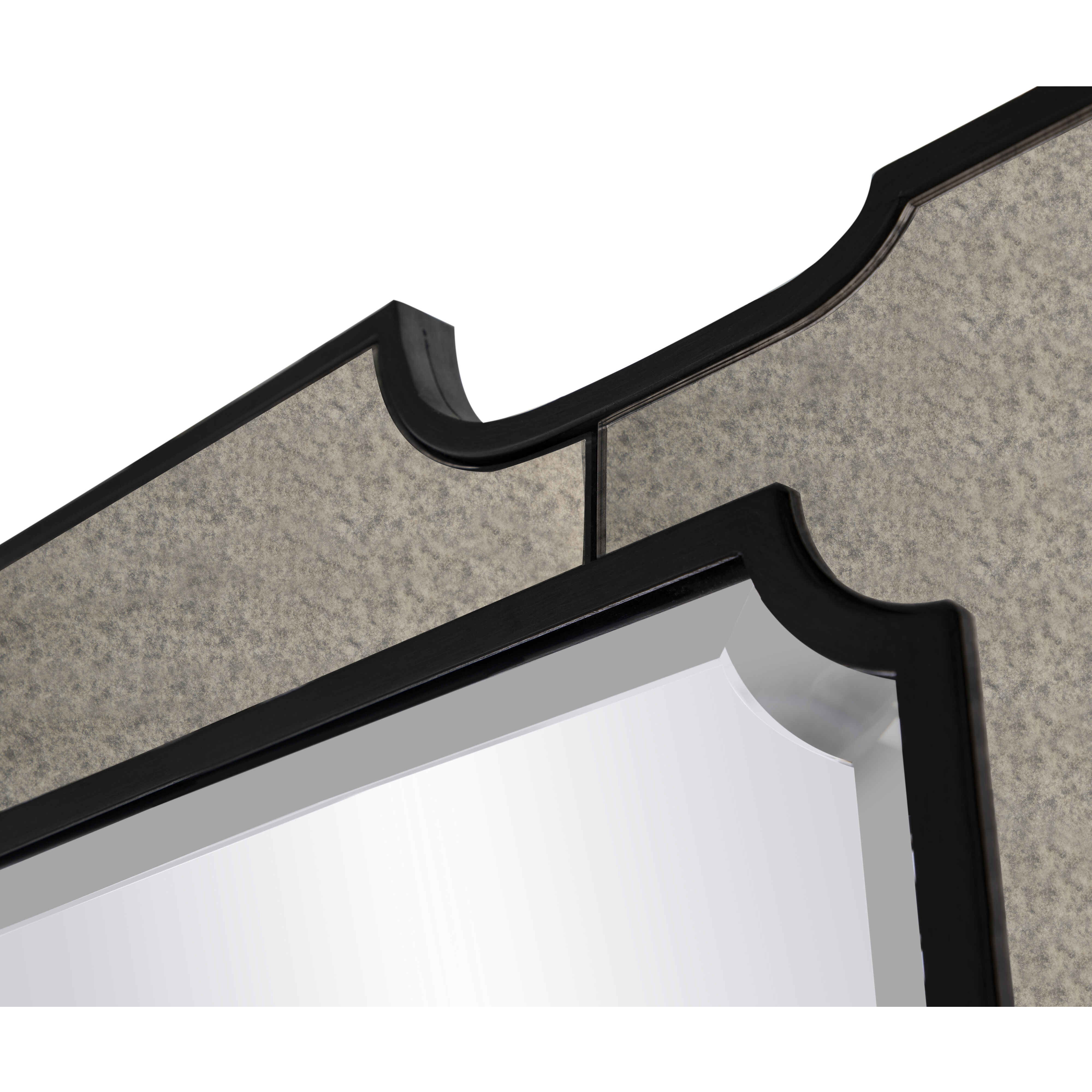 Chantel 77.75 X 37 inch Clean Mirror and Antique Mirror with Black Forged Iron Mirror