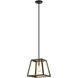 Rosalie 1 Light 12 inch Matte Black and Aged Gold Brass Pendant Ceiling Light
