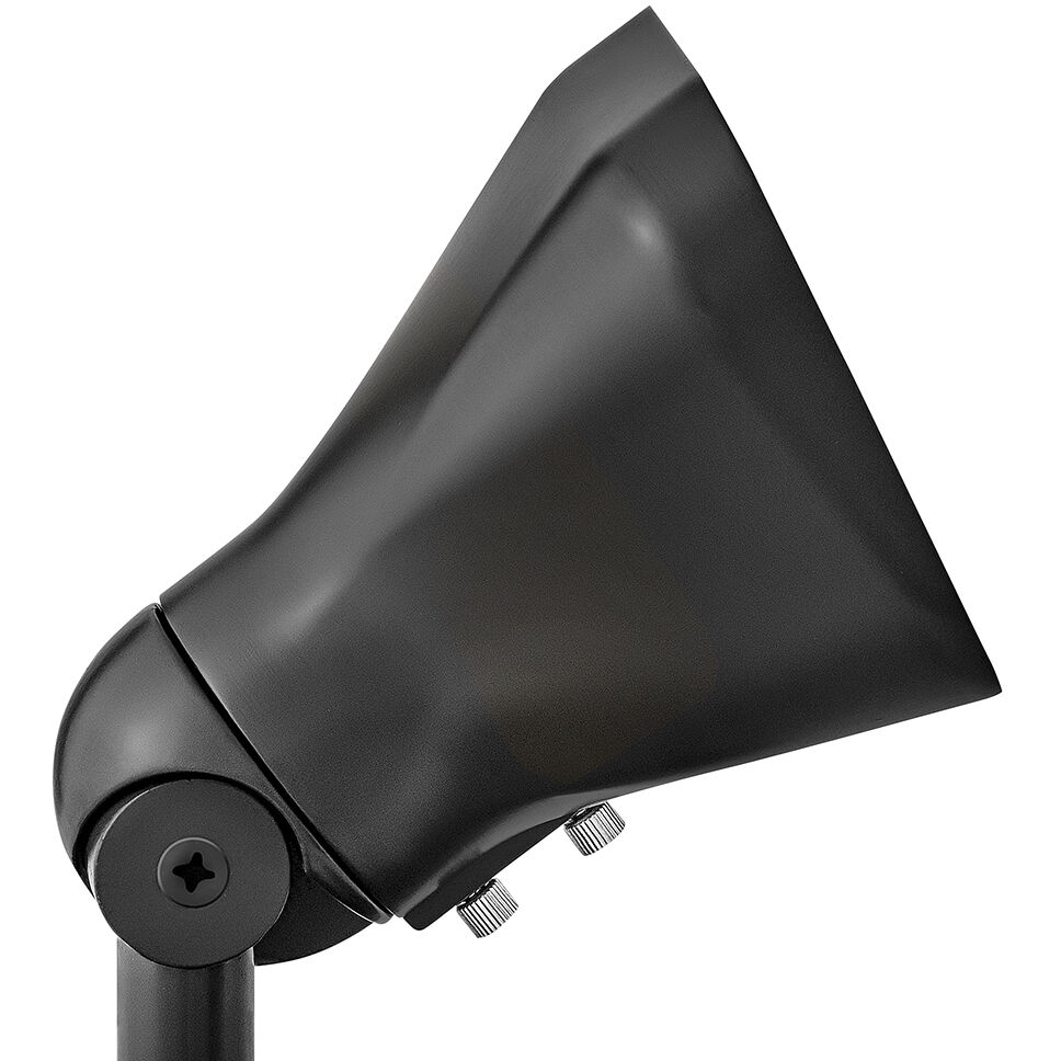 Hardy Island 12v 4 watt Brass Satin Black Landscape Flood Light