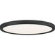 Outskirts 20 inch Earth Black Flush Mount Ceiling Light