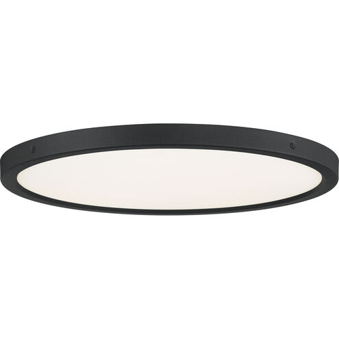 Outskirts 20 inch Earth Black Flush Mount Ceiling Light