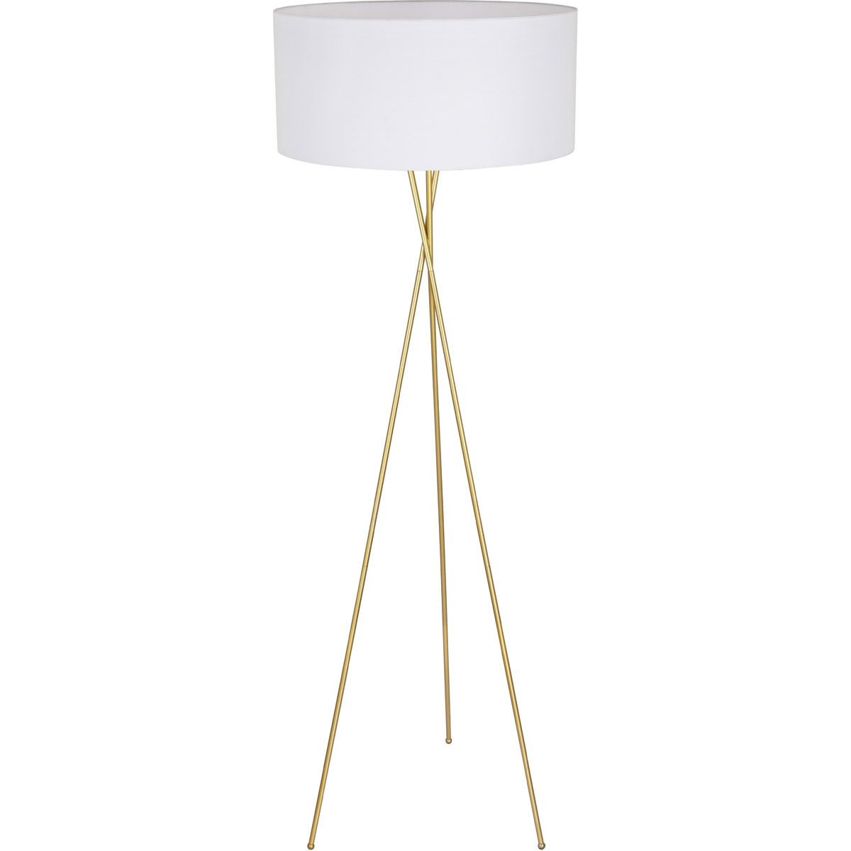 Cason 66 inch 60 watt Brass Floor lamp Portable Light