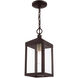 Nyack 1 Light 6.25 inch Bronze with Antique Brass Cluser Outdoor Pendant Lantern