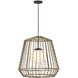 Open Air Arlen 1 Light 24 inch Black Outdoor Hanging Light