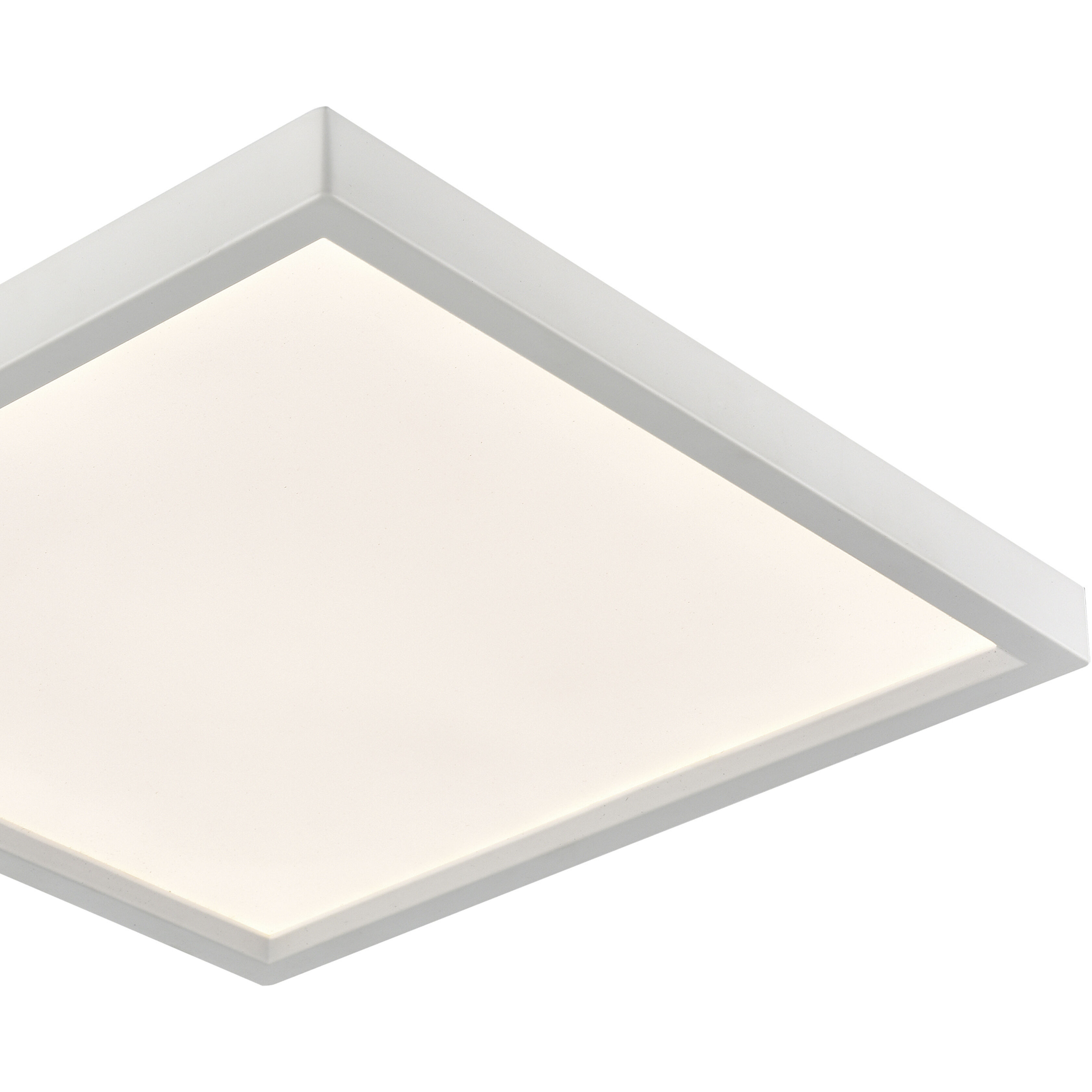 Titan Integrated LED White Down Light