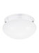 Webster 2 Light 9.5 inch White Flush Mount Ceiling Light