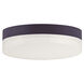 Illuminaire II LED 7 inch Bronze Flush Mount Ceiling Light