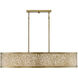 New Haven 5 Light 15.5 inch Burnished Brass Oval Chandelier Ceiling Light