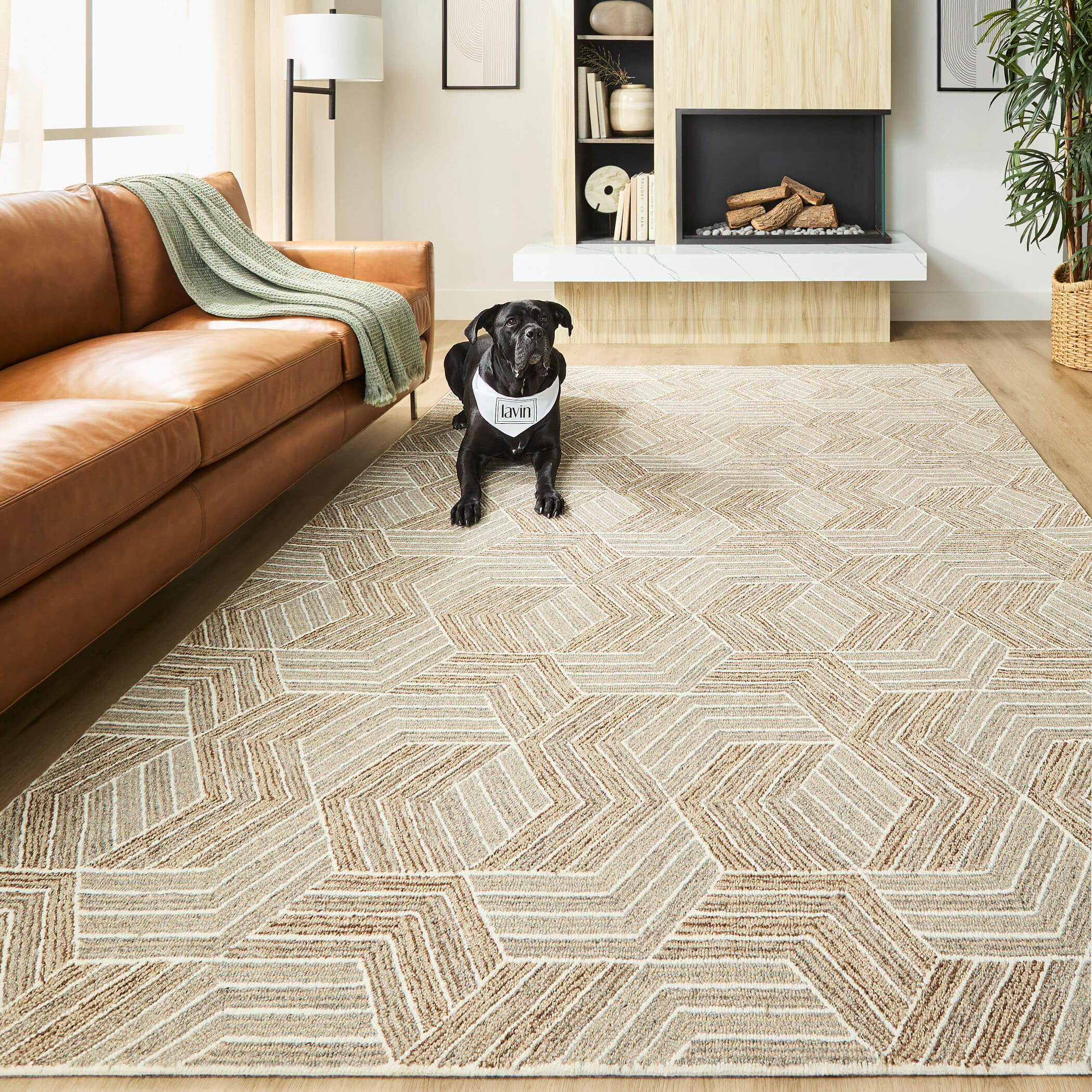 Sachin 36 X 24 inch Brown Rug in 2 x 3