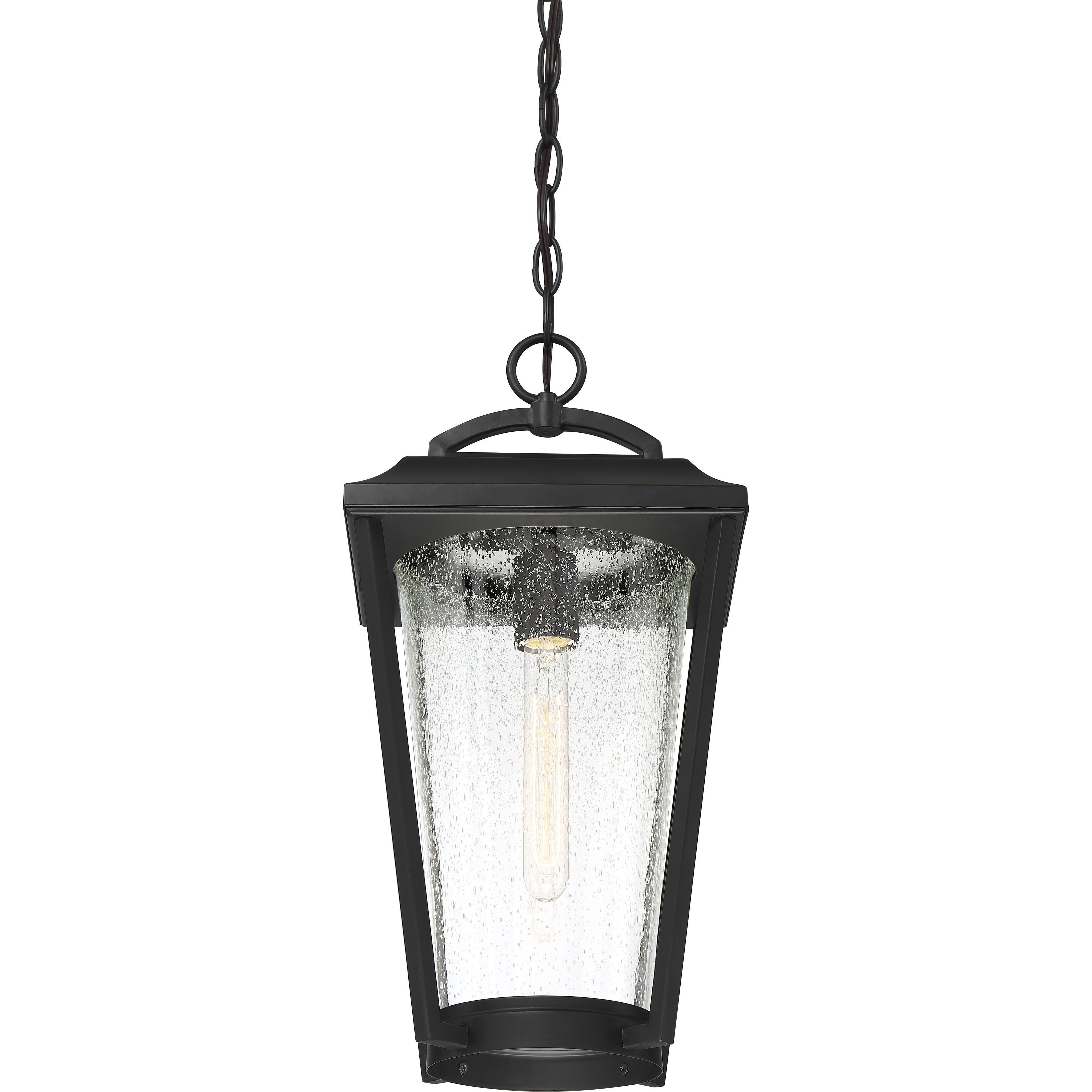 Lakeview 1 Light 9 inch Aged Bronze and Clear Outdoor Hanging Lantern